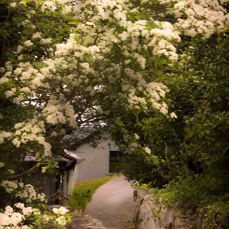The Waters Country house Ballyvaughan