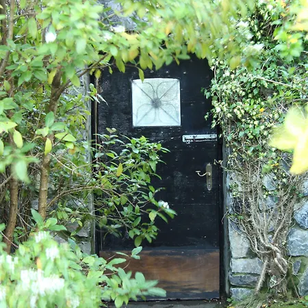 The Waters * Ballyvaughan