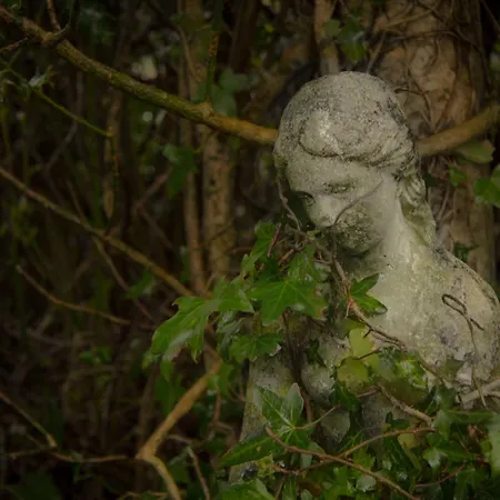 Casa de Campo The Waters *