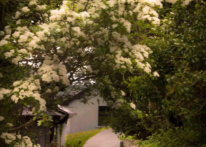 The Waters Landsted Ballyvaughan