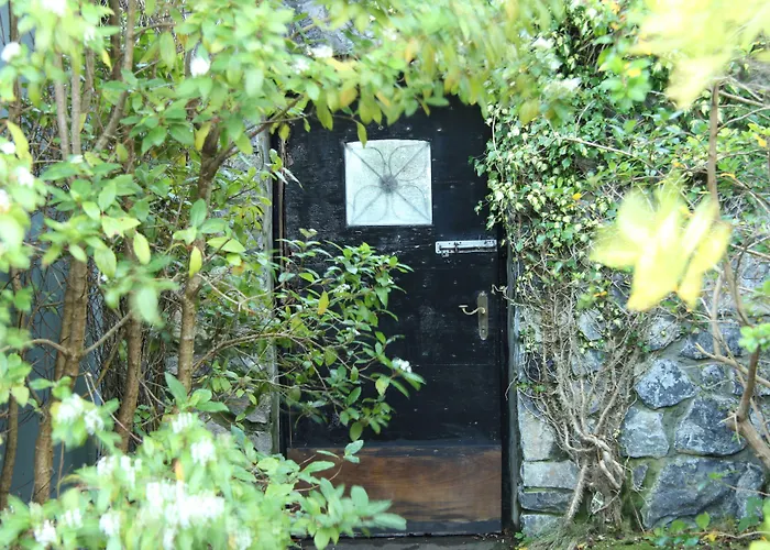 The Waters * Ballyvaughan